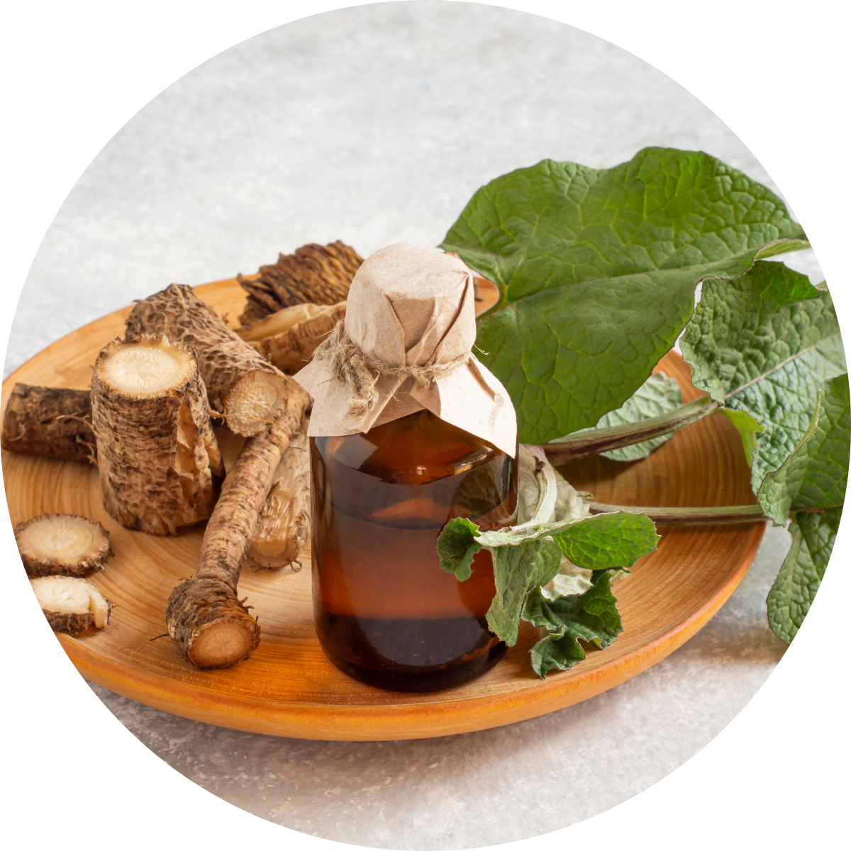 Klettenwurzel-Extrakt