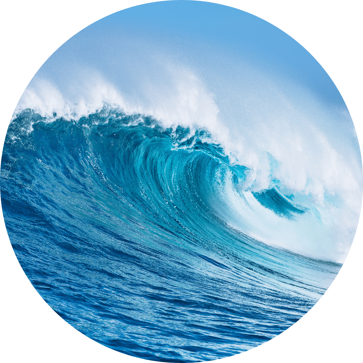 Eine Welle, die für Meersalz und Beachwaves steht