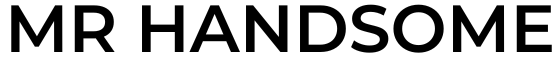 mr-handsome-logo